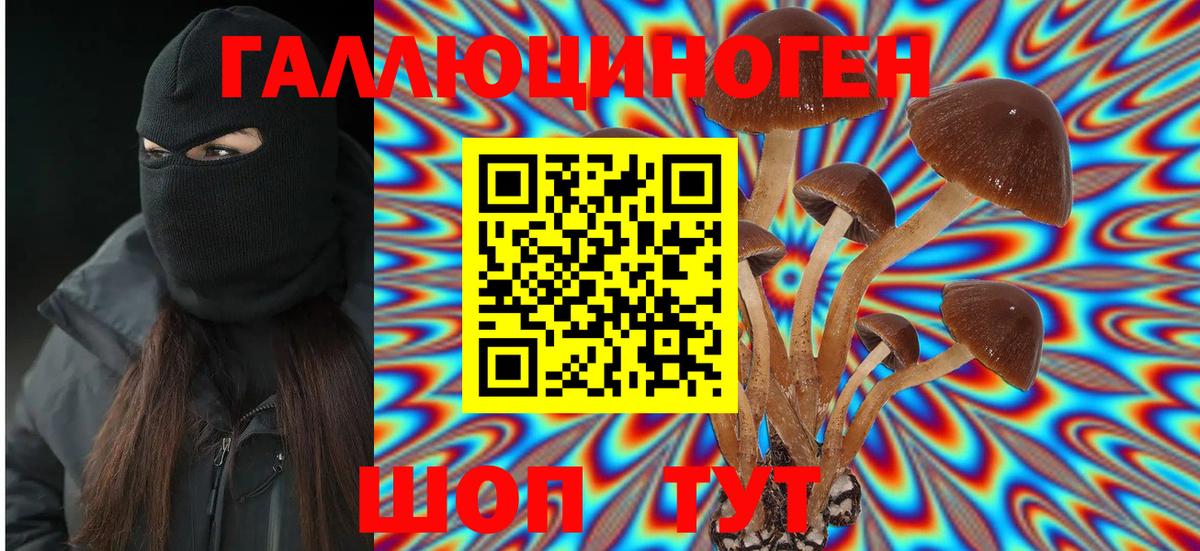 Галлюциногенные грибы MAGIC MUSHROOMS Курчатов
